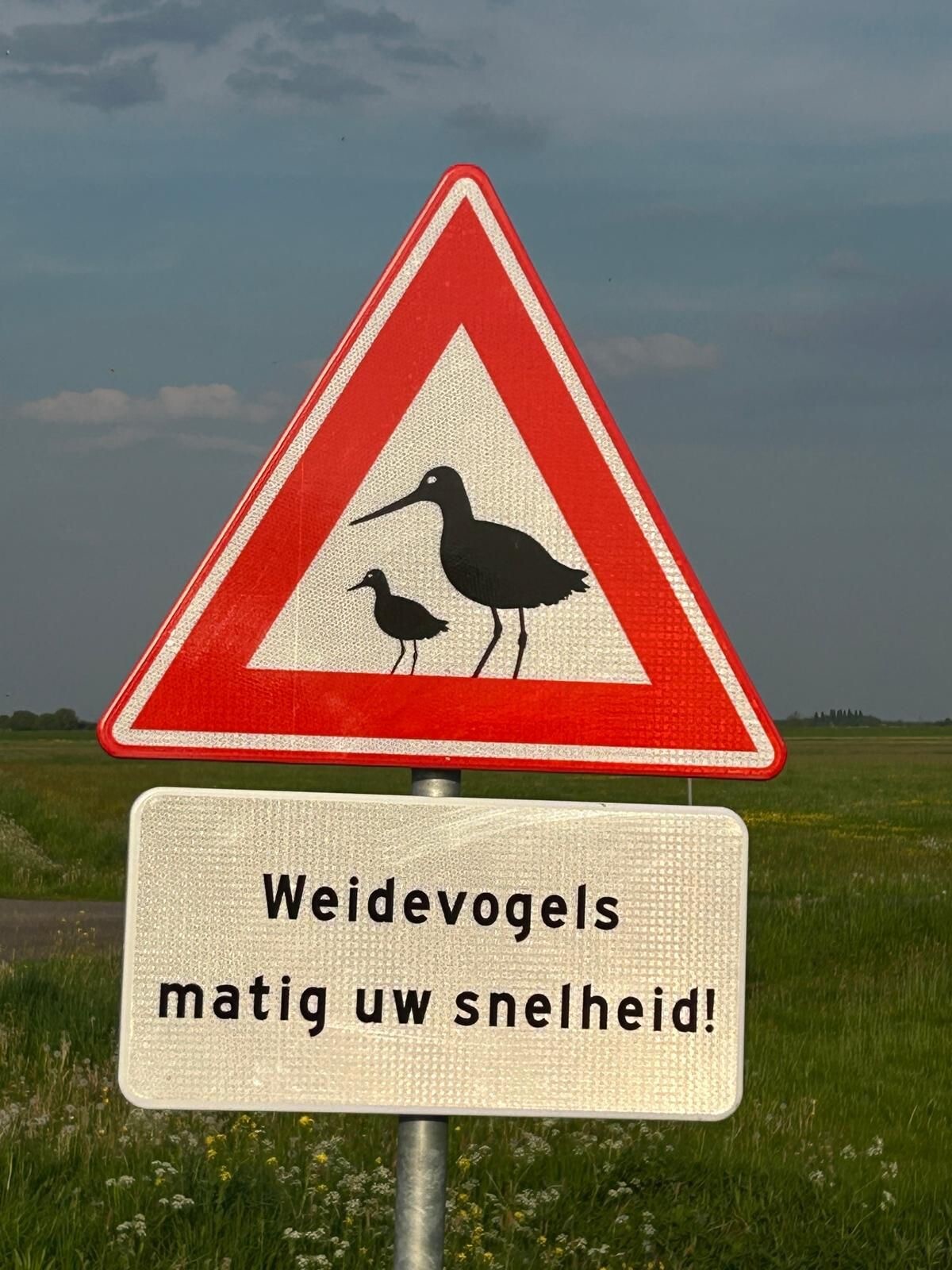 weidevogels bord