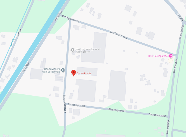 Borchgraverweg 5a, Heerde