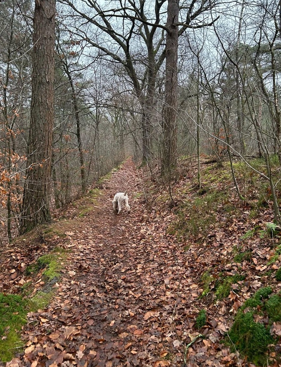 Wandelen met de burgemeester
