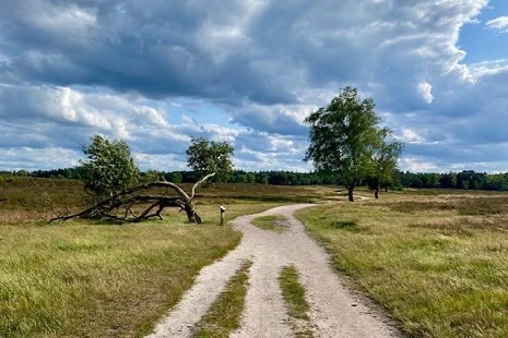 foto wolvengebied
