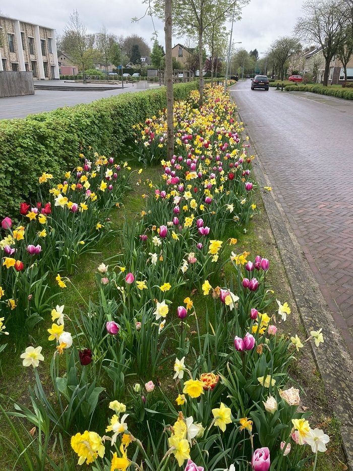 Plantsoenen